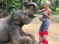 Dajana Gudic odważnie karmi słonia